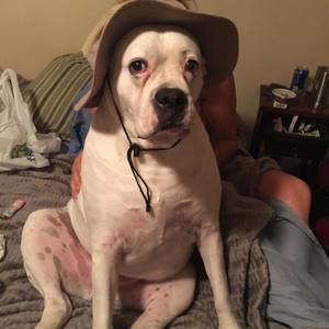 Meet your Posher, Kaylee